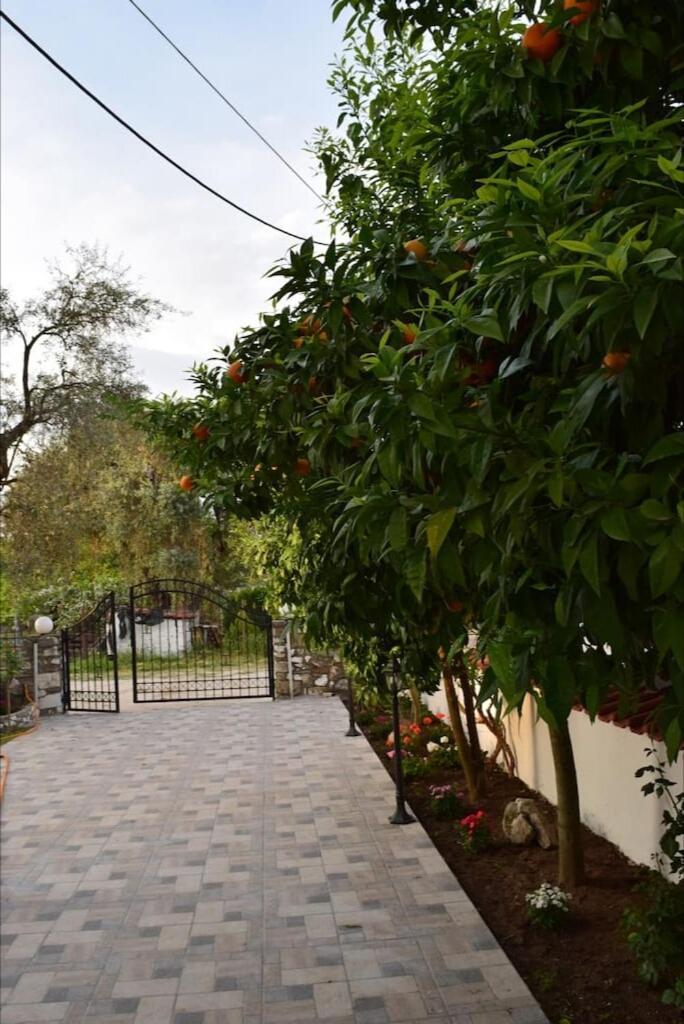 Ferienwohnung Tsafas Αpartments Limenas  Exterior foto