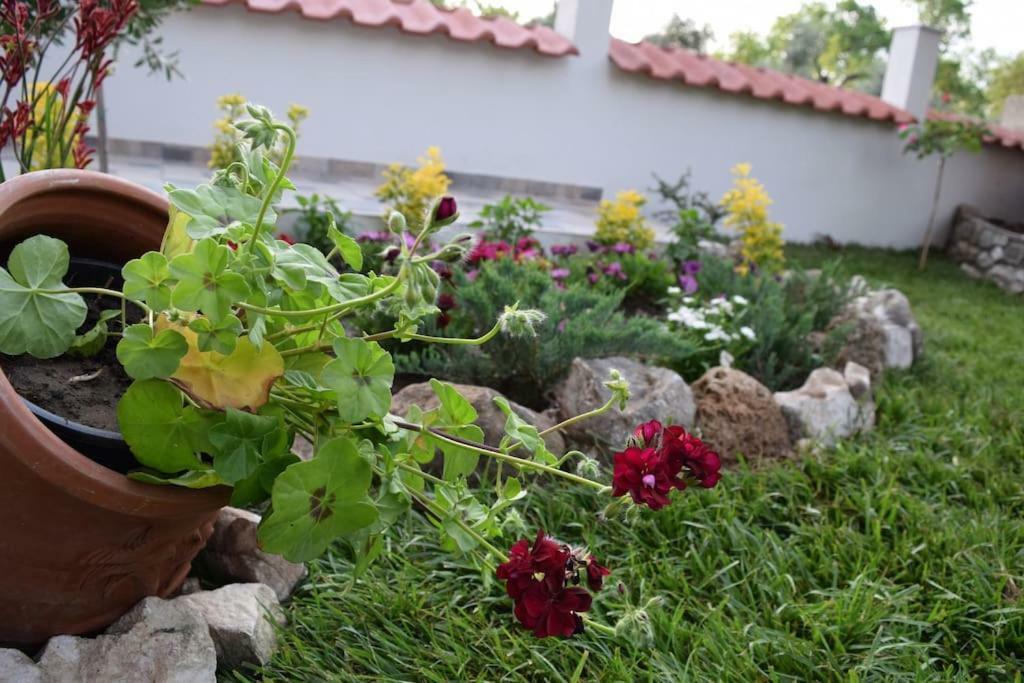 Ferienwohnung Tsafas Αpartments Limenas  Exterior foto
